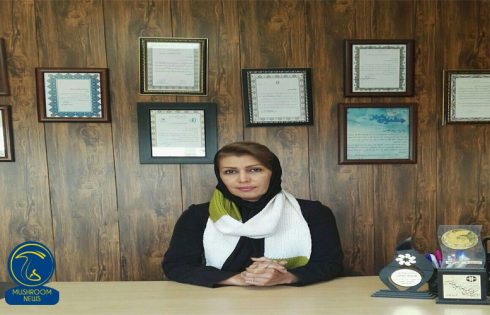 بانوی برتر کارآفرین کشور