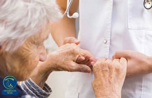مقابله با پارکینسون به کمک قارچ گانودرما