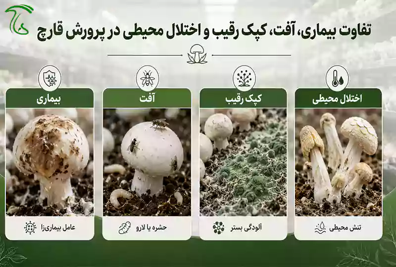 تفاوت بیماری، آفت، کپک رقیب و اختلال محیطی در پرورش قارچ