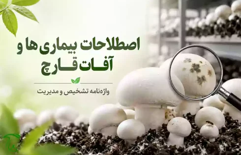 اصطلاحات بیماری‌ها و آفات قارچ؛ واژه‌نامه تشخیص و مدیریت