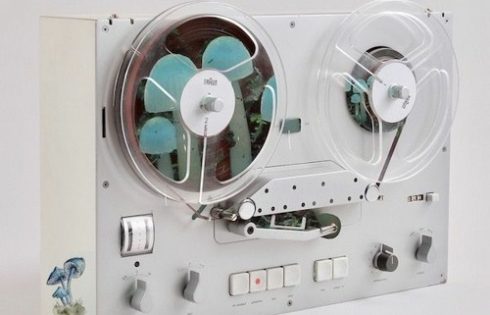 مباحث مرتبط با صنعت قارچ در برنامه رادیویی خوشه چین