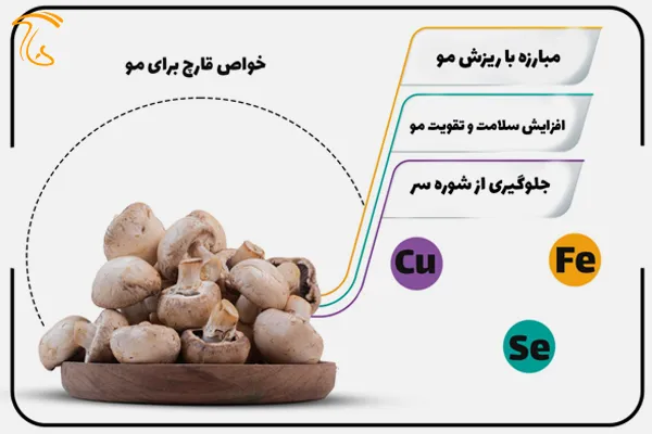 تاثیر مصرف قارچ بر رشد مو