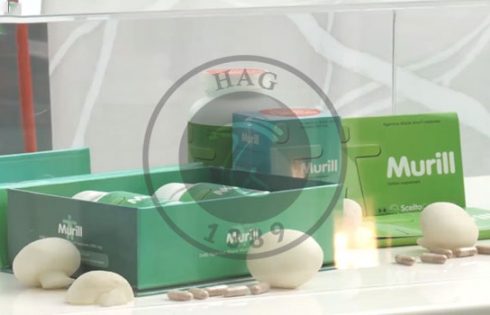 مزرعه مدرن و مکانیزه تولید و پرورش قارچ خوراکی scelta mushrooms