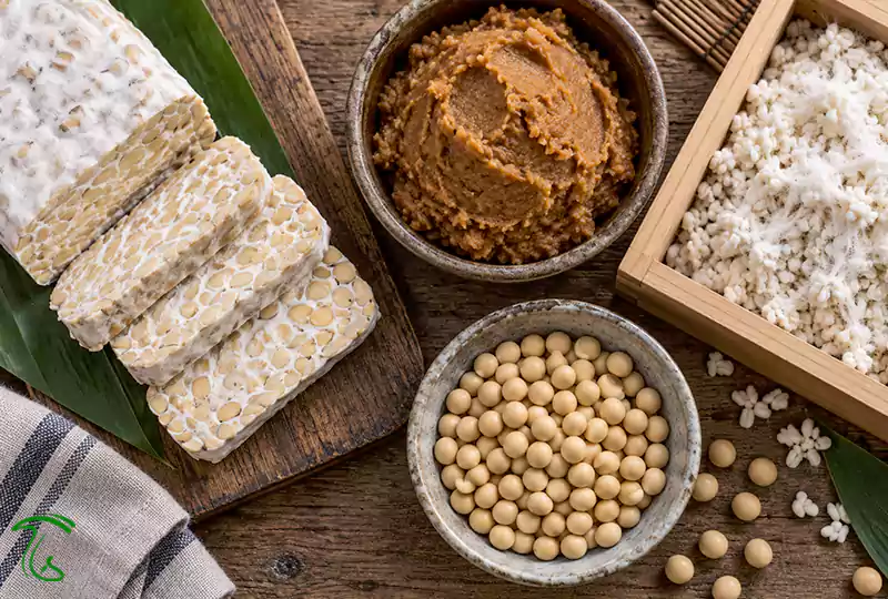 تمپه میسو و کوجی از غذاهای تخمیری با قارچ