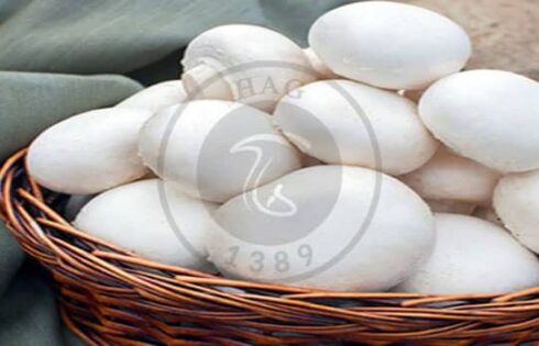 13 دلیل استفاده و مصرف قارچ خوراکی