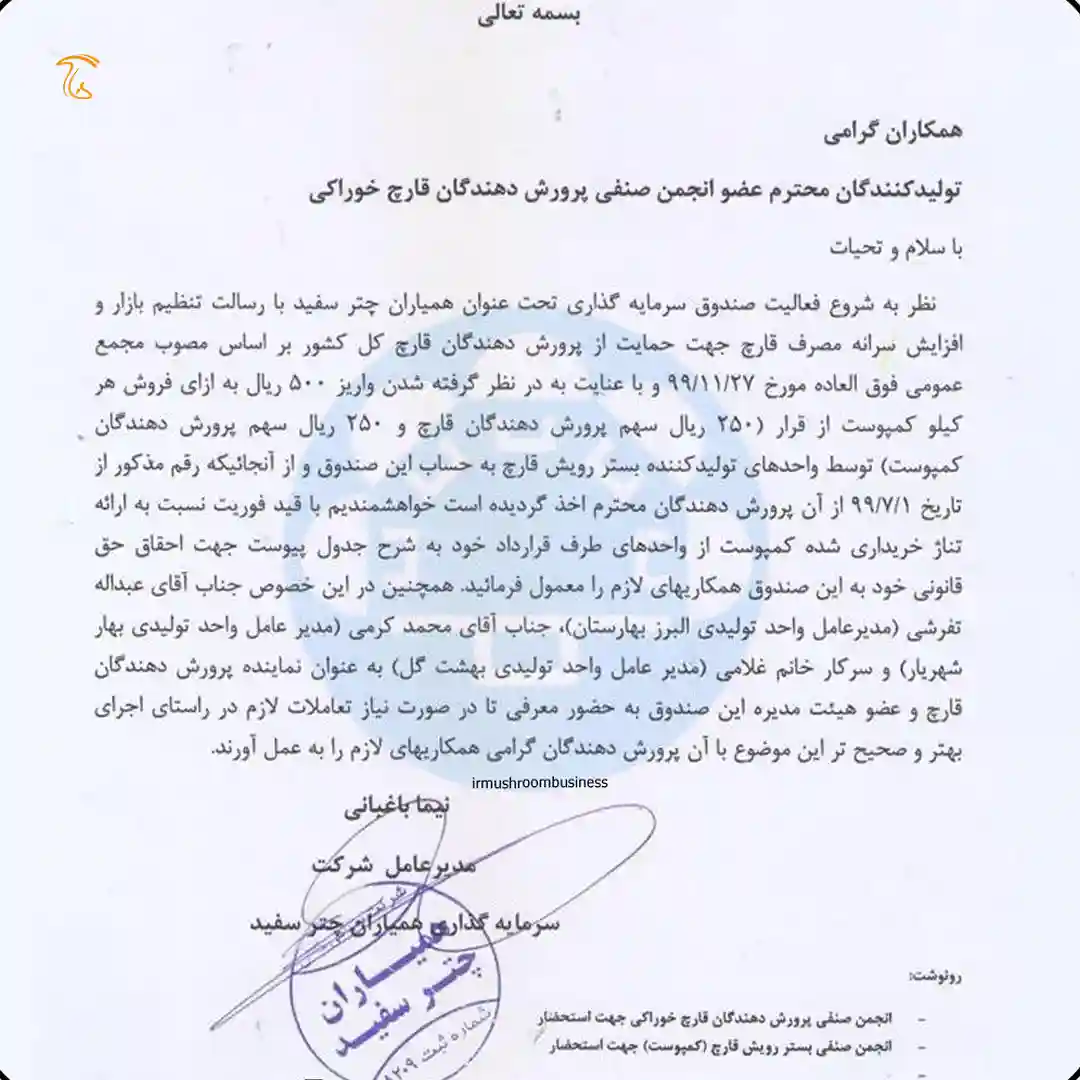 صندوق همیاران چتر سفید