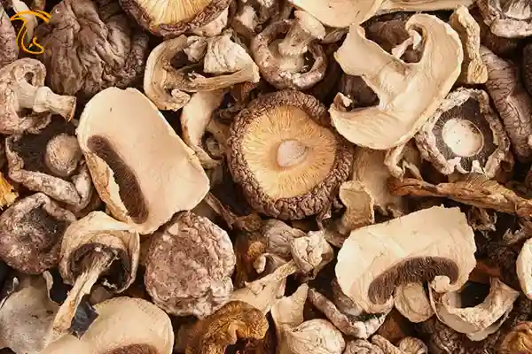 نگاهی نزدیکتر به عوامل موثر بر قیمت