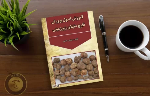 کتاب آموزش اصول پرورش قارچ دنبلان زیرزمینی نوشته عباس فتحی
