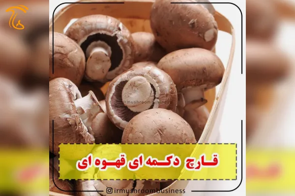قارچ های خوراکی و دارویی کرمینی یا قهوه ای