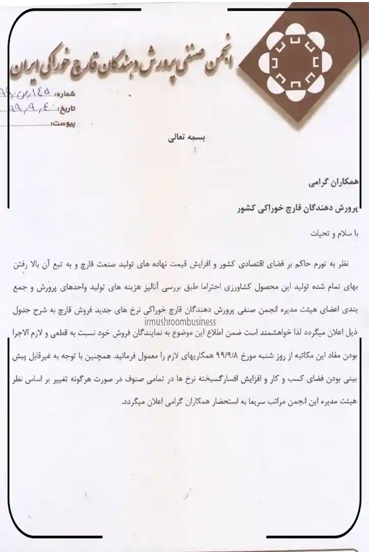 نرخ جدید فروش قارچ