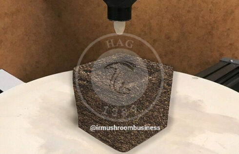 ابداع یک نوع عایق صوتی از قارچ
