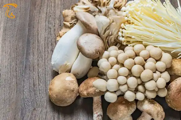 منابع غذایی انواع ویتامین ها
