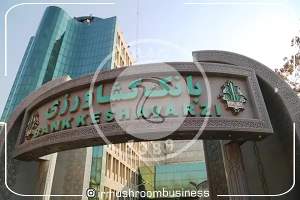 سرخط خبرهای قارچ سال 1399 حمایت بانک کشاورزی از پروژه بزرگ تولید قارچ در خوزستان