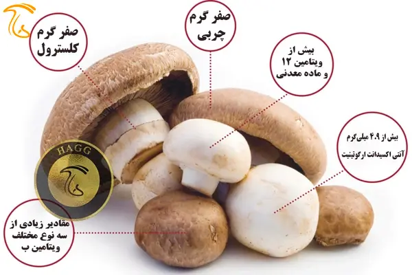 ارزش خوراکی و دارویی قارچ
