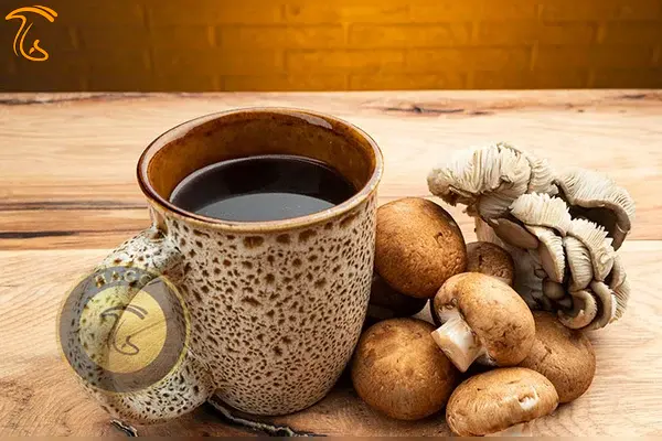 ساخت عصاره برای نگهداری قارچساخت عصاره برای نگهداری قارچ