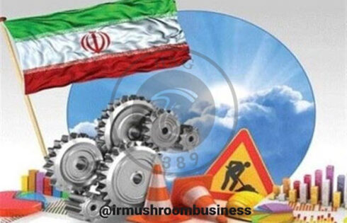 صرف فعل «خواستن، توانستن است» پرورش قارچ توسط بانوی لرستانی