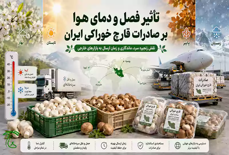 تأثیر فصل و دمای هوا بر صادرات قارچ خوراکی ایران