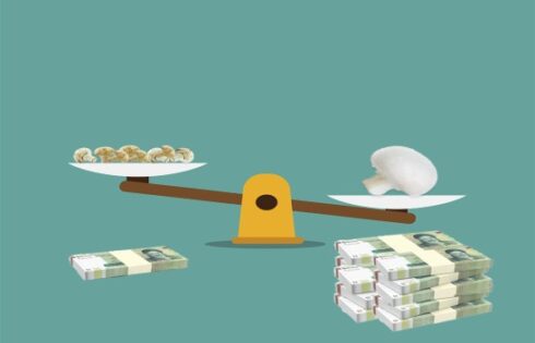 کیفیت یا کمیت قارچ جواب این سوال را در حرف ما داشنامه قارچ بخوانید.