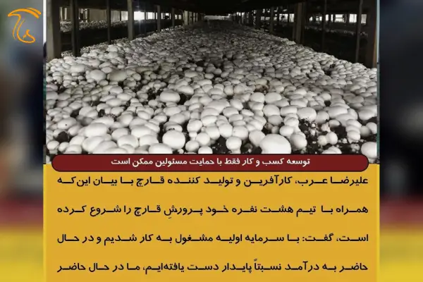 کارآفرینان در صورتی می توانند کسب و کارشان را گسترش و توسعه بدهند که مسئولین حمایتشان کنند