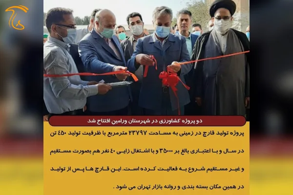 همزمان با هفته دولت در ورامین، دو پروژه جهاد کشاورزی، شامل تولید قارچ و سیستم تحت فشار آب بهره برداری شد