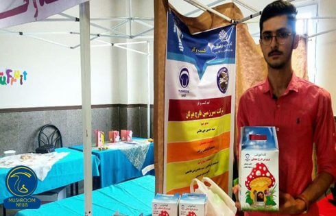 کلبه آموزشی قارچ صدفی
