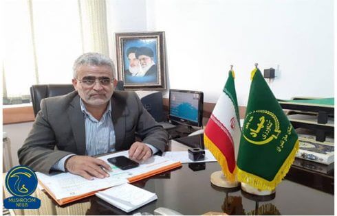 چند خبر از صنعت قارچ