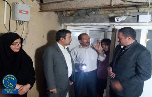 "بازدید