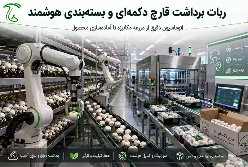 ربات برداشت قارچ دکمهای در مزرعه مکانیزه و خط بستهبندی هوشمند