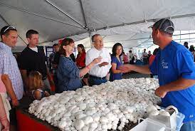 Mushroom day