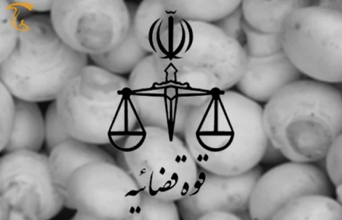 معرفی 26 واحد متخلف پرورش قارچ