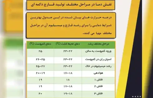 نقش دما در مراحل مختلف تولید قارچ