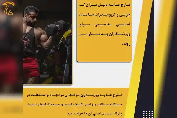 تاثیر قارچ بر بدنسازی