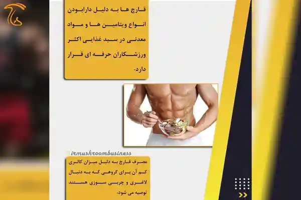 بدن سازی