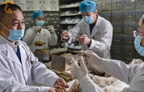 طب سنتی چین درمانی برای کرونا ارائه کرد؟