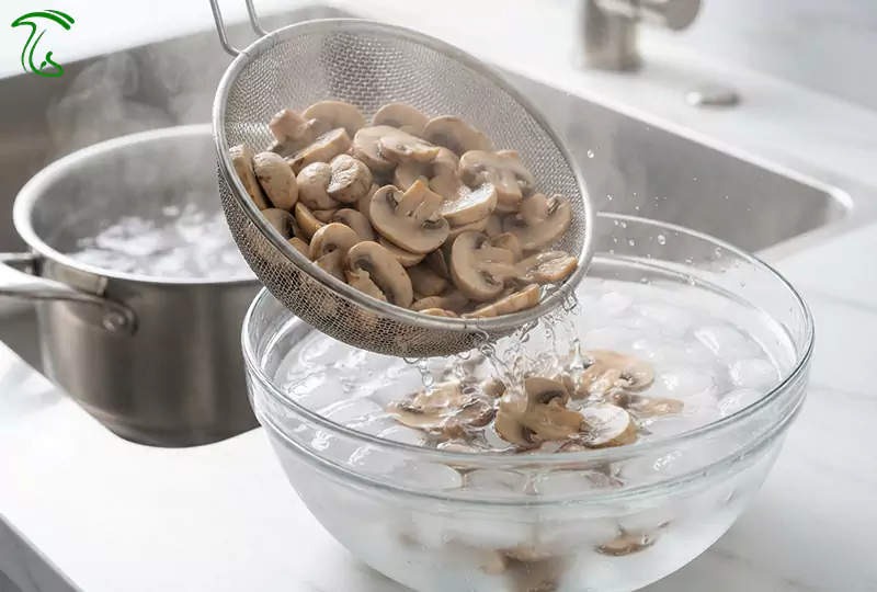 بلانچ کردن قارچ برای فریزر بدون سیاه شدن