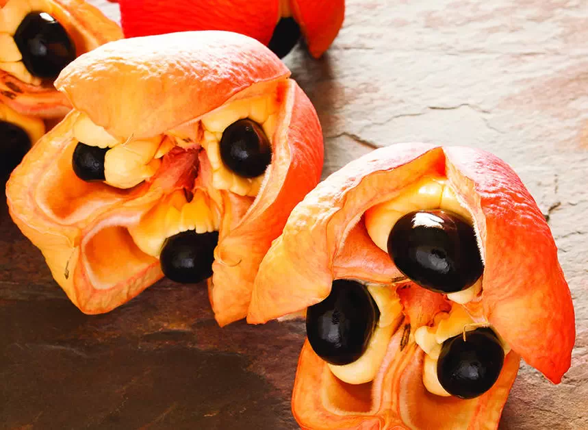 میوه آکی از مسمومترین غذاهای جهان است
