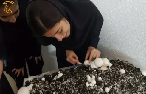 عکسی است از مدرسه‌ آموزش تولید قارچ خوراکی