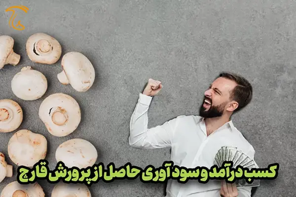 کسب درآمد و سودآوری حاصل از پرورش قارچ