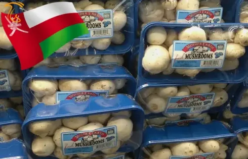عمان با تغییر برچسب قارچ ایران را به عربستان صادر می‌کند