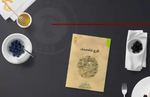 کتاب قارچ شاه صدف مؤلفان ناصر محمدی، ابراهیم محمدی گل تپه