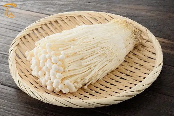 قارچ انوکی - قار انوکیتاکه - enoki fungi - enoki mushroom