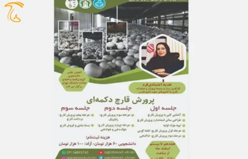 وبینار «پرورش قارچ دکمه ای» برگزار می‌شود