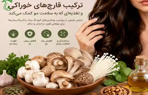 قارچ‌های خوراکی مفید برای تقویت مو و نقش تغذیه در سلامت فولیکول مو