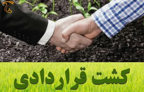 کشت قراردادی چیست؟