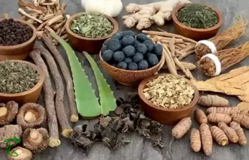 آداپتوژن‌های گیاهی و قارچی شامل آشواگاندا، جینسینگ، گانودرما و کوردیسپس