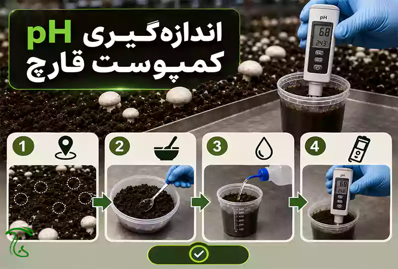 اندازهگیری pH کمپوست قارچ با pH متر و نمونهبرداری اصولی از کمپوست