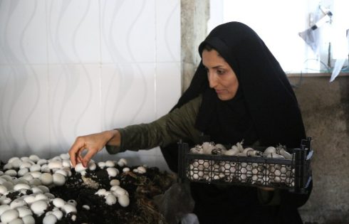 پایگاه بسیج خواهران اراک 400 میلیون تومان وام اشتغالزایی پرداخت کرد