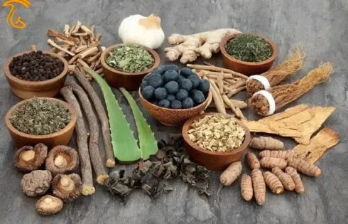 آداپتوژن ها یا همان دوستان سلامت