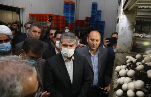 بازدید وزیر جهاد کشاورزی از قارچ ملارد