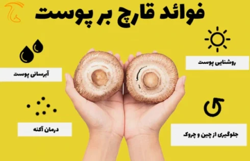 تاثیر مصرف قارچ بر پوست بسیار است